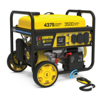 Preview: Champion Global Power Equipment 201181