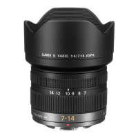 Preview: Panasonic LUMIX H-F007014E