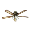 Fan Logo