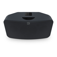 Preview: Bluesound PULSE MINI 2i