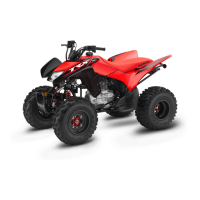 Preview: Honda TRX250X