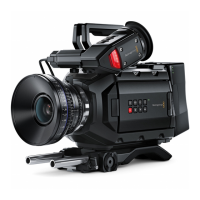 Preview: Blackmagic URSA Mini