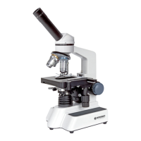 Preview: Bresser Erudit DLX