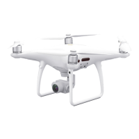 Preview: dji Phantom 4 Pro+ V2.0