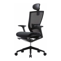 Preview: SIDIZ T50