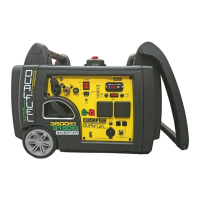Preview: Champion Global Power Equipment 73001I-DF