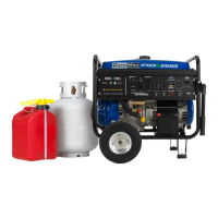 Preview: DUROMAX DUAL FUEL XP8500EH