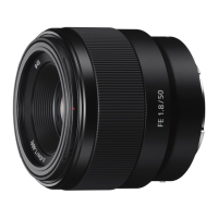 Preview: Sony SEL50F18F