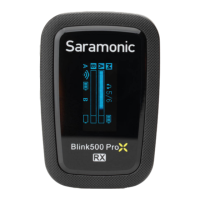 Preview: Saramonic Blink500 ProX RX