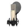 Microphone Logo