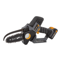 Preview: Batavia NEXXSAW