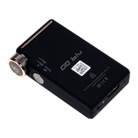 Preview: ifi GO BLU
