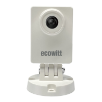 Preview: ECOWITT WittCam HP10
