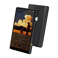 Preview: iBasso Audio DX170