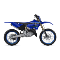 Preview: Yamaha YZ125 2021