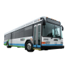 Buses Logo