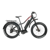 Bicycle Logo