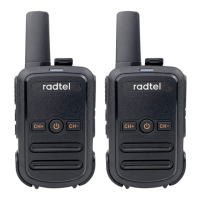 Preview: RADTEL RT12