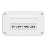 Preview: Dynasty ProAudio WSA-5RP