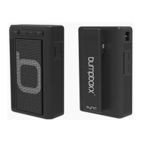 Preview: bumpboxx Retro Pager
