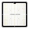 Lantern Logo