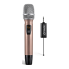Microphone system Logo