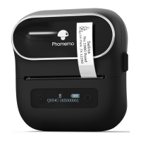 Preview: Phomemo M220