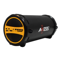 Preview: Axess SPBT1031
