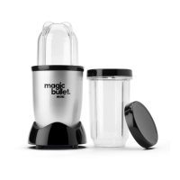 Preview: Magic Bullet mini