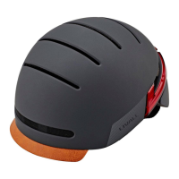 Preview: Livall BH51 Series