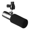 Microphone Logo
