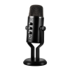 Microphone Logo