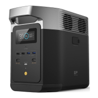 Preview: EcoFlow DELTA 2