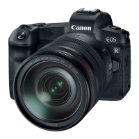 Preview: Canon DSLR