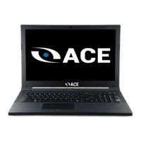 Preview: ACE COMPUTERS MUSTANG Series