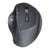 Mouse Logo