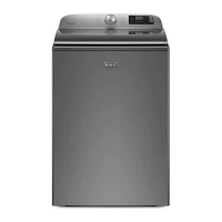 Preview: Top Loading Washing Machine