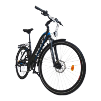 Preview: Urbanbiker Viena