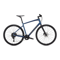 Preview: Specialized MOUNTAIN