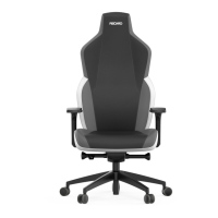 Preview: RECARO Rae