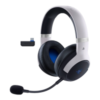 Preview: Razer KAIRA PRO HYPERSPEED
