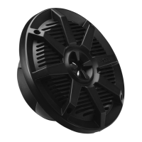 Preview: Boss Audio Systems MR62B