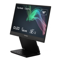 Preview: ViewSonic VP16-OLED