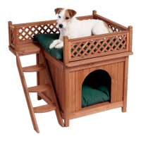 Preview: Merry Pet Room with A View
