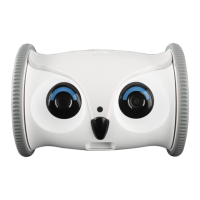 Preview: skymee Owl Robot