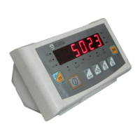 Preview: Bilanciai D70E