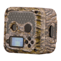 Preview: Wildgame Shadow