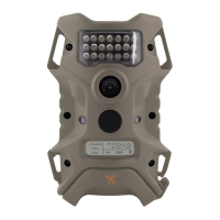 Preview: Wildgame Edge