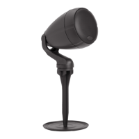 Preview: Polk Mono Atrium SAT300