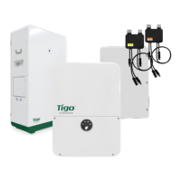 Preview: Tigo EI